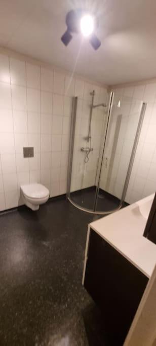 Tur Og Sentrumsnaer Sokkel-leilighet Oppdal