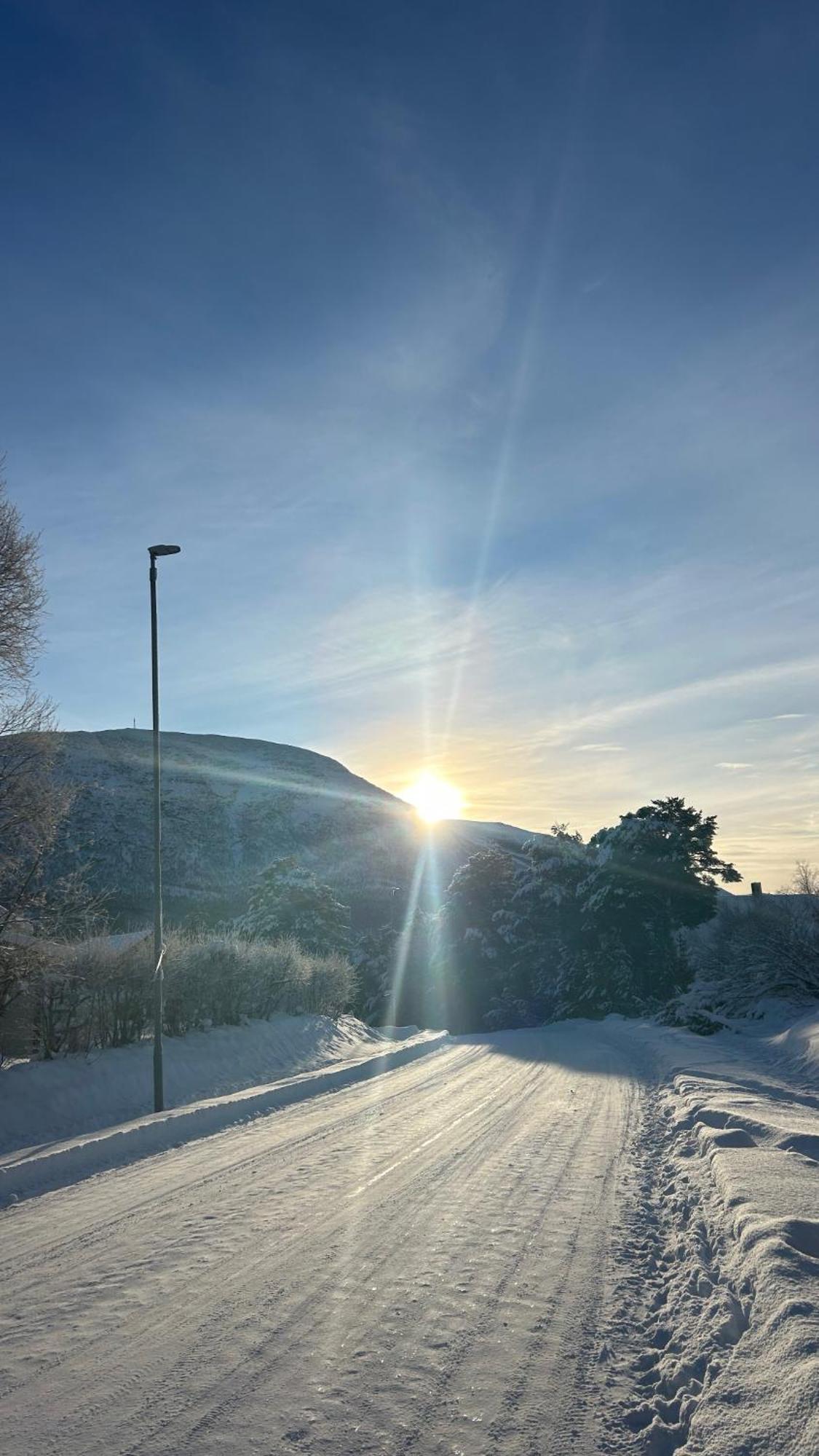 Apartment Tur Og Sentrumsnaer Sokkel-leilighet *